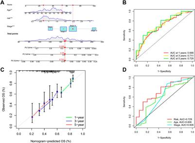 The predictive effect of immune therapy and chemotherapy under T cell-related gene prognostic index for Gastric cancer